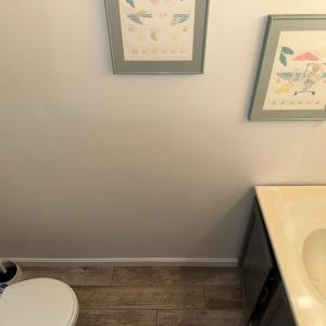 Photo #7 of 7234 OAK RIDGE PL, CHINCOTEAGUE, VA