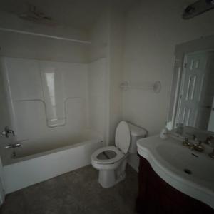 Photo #5 of 2471 CAPTAINS CORRIDOR, GREENBACKVILLE, VA 0.3 acres