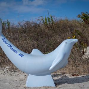 Photo #29 of 524 A WASHINGTON AVE, CAPE CHARLES, VA