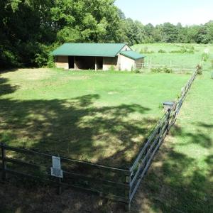 Photo #11 of 16398 PUNGOTEAGUE RD, PAINTER, VA 84.1 acres
