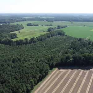 Photo #16 of 16398 PUNGOTEAGUE RD, PAINTER, VA 84.1 acres