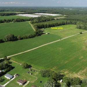 Photo #17 of 16398 PUNGOTEAGUE RD, PAINTER, VA 84.1 acres