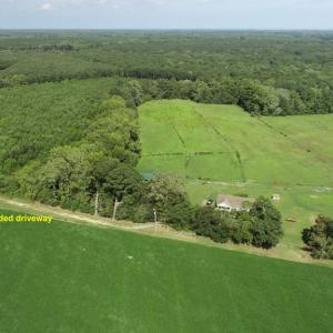 Photo #18 of 16398 PUNGOTEAGUE RD, PAINTER, VA 84.1 acres
