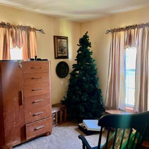 Photo #31 of 16398 PUNGOTEAGUE RD, PAINTER, VA 84.1 acres