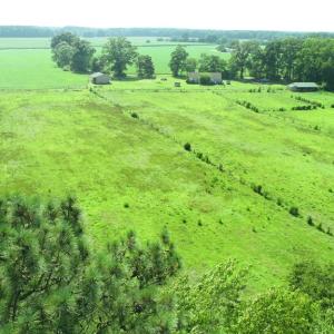 Photo #5 of 16398 PUNGOTEAGUE RD, PAINTER, VA 84.1 acres