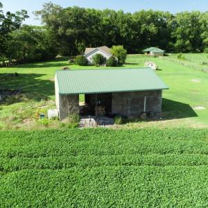 Photo #7 of 16398 PUNGOTEAGUE RD, PAINTER, VA 84.1 acres