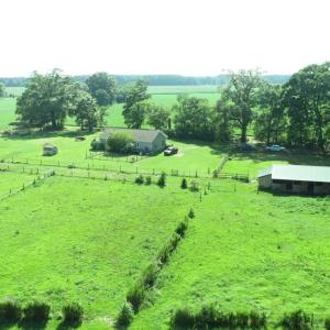 Photo #8 of 16398 PUNGOTEAGUE RD, PAINTER, VA 84.1 acres