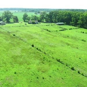 Photo #9 of 16398 PUNGOTEAGUE RD, PAINTER, VA 84.1 acres