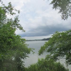 Photo #3 of 6081 CREEK CT, JAMESVILLE, VA 0.8 acres