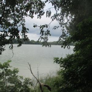 Photo #2 of 6081 CREEK CT, JAMESVILLE, VA 0.8 acres