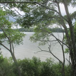 Photo #4 of 6081 CREEK CT, JAMESVILLE, VA 0.8 acres