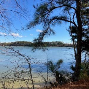 Photo #4 of 6081 CREEK CT, JAMESVILLE, VA 0.8 acres