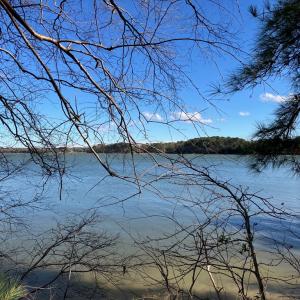 Photo #3 of 6081 CREEK CT, JAMESVILLE, VA 0.8 acres