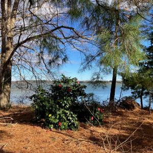 Photo #7 of 6081 CREEK CT, JAMESVILLE, VA 0.8 acres