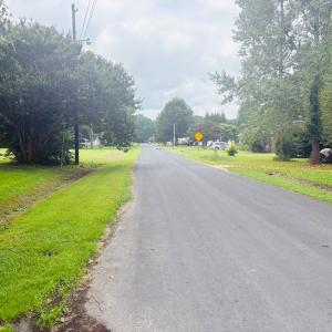 Alt. Street View