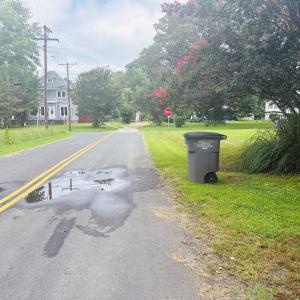 Alt. Street View