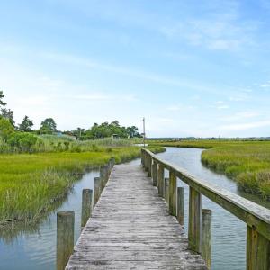 Photo #33 of 6394 TEAL LN, CHINCOTEAGUE, VA 1,080.0 acres