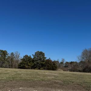 Photo #2 of Lot 15 DAVEY JONES BLVD, GREENBACKVILLE, VA 0.2 acres