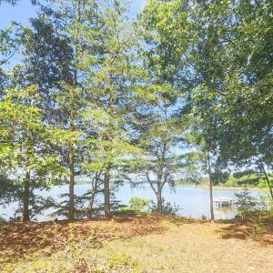 Photo #31 of 35204 BLUFF DR, BELLE HAVEN, VA 2.1 acres