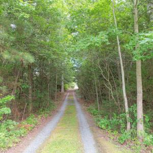 Photo #34 of 35204 BLUFF DR, BELLE HAVEN, VA 2.1 acres
