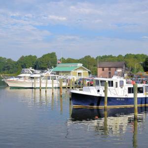 Photo #45 of 35204 BLUFF DR, BELLE HAVEN, VA 2.1 acres