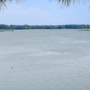 Photo #3 of 35204 BLUFF DR, BELLE HAVEN, VA 2.1 acres