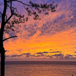 Photo #58 of 35204 BLUFF DR, BELLE HAVEN, VA 2.1 acres