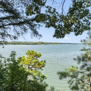 Photo #4 of 35204 BLUFF DR, BELLE HAVEN, VA 2.1 acres