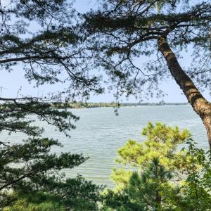 Photo #40 of 35204 BLUFF DR, BELLE HAVEN, VA 2.1 acres