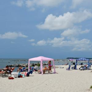 Photo #45 of 35204 BLUFF DR, BELLE HAVEN, VA 2.1 acres