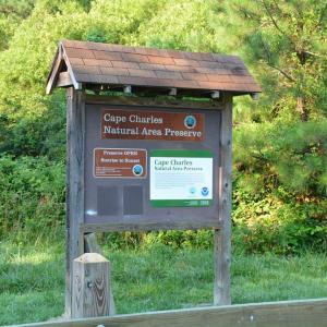 Photo #46 of 35204 BLUFF DR, BELLE HAVEN, VA 2.1 acres