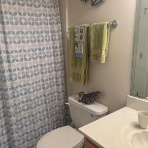 2nd Bath 1st floor