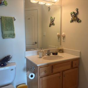 2nd bath 1st Floor