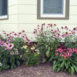 Photo #53 of 6326 CLEVELAND ST, CHINCOTEAGUE, VA 0.2 acres
