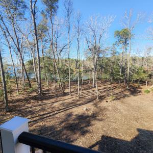 Photo #31 of 4442 WILSONIA SHORES DR, MACHIPONGO, VA 1.0 acres