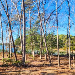 Photo #41 of 4442 WILSONIA SHORES DR, MACHIPONGO, VA 1.0 acres