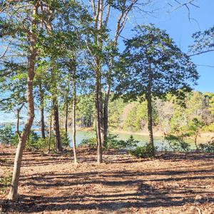 Photo #43 of 4442 WILSONIA SHORES DR, MACHIPONGO, VA 1.0 acres