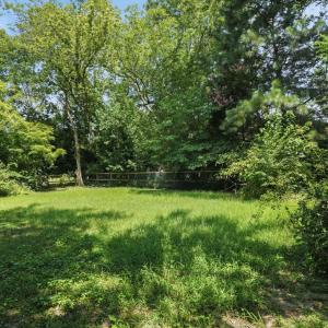 Photo #40 of 12 JUSTIS ST, ONANCOCK, VA 0.2 acres