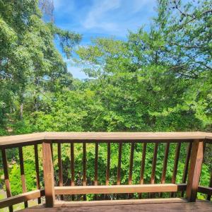Photo #19 of 13581 SOLITUDE TRAIL, MACHIPONGO, VA 0.8 acres