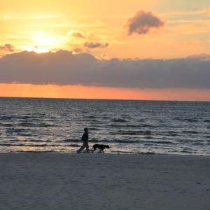 Photo #67 of 13581 SOLITUDE TRAIL, MACHIPONGO, VA 0.8 acres