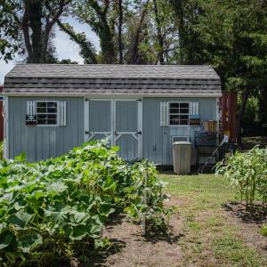 Shed