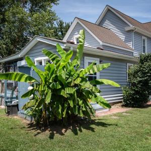 Photo #32 of 38 MAIN ST, WACHAPREAGUE, VA 0.3 acres