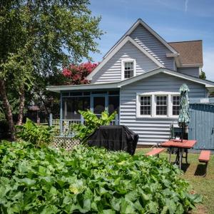 Back yard