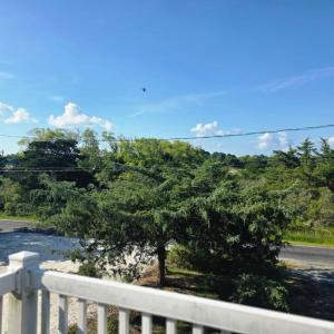 Photo #7 of 6541 BROADWATER CIR, OYSTER, VA 0.3 acres