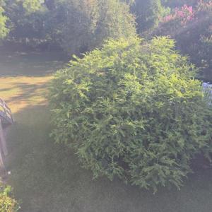 Photo #20 of 6541 BROADWATER CIR, OYSTER, VA 0.3 acres