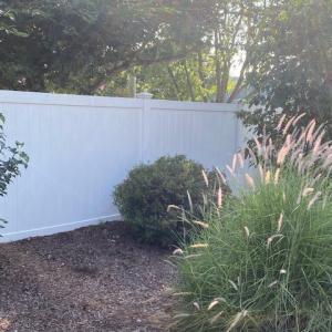 Photo #10 of 24262 GERTRUDE ST, PARKSLEY, VA 0.8 acres