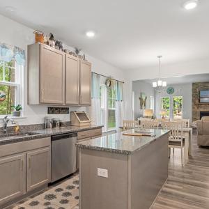 Photo #11 of 38121 NEPTUNE DR, GREENBACKVILLE, VA 63.0 acres