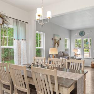 Photo #13 of 38121 NEPTUNE DR, GREENBACKVILLE, VA 63.0 acres