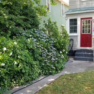 Photo #63 of 538 RANDOLPH AVE, CAPE CHARLES, VA 26.0 acres