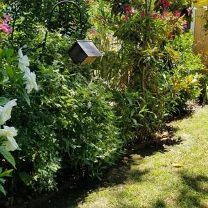 Photo #61 of 538 RANDOLPH AVE, CAPE CHARLES, VA 26.0 acres